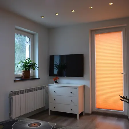 Luzik Apartment Krynica Zdroj